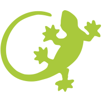 Signet Grüner Gecko
